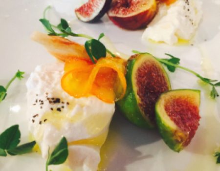 Terra-and-Acqua-Italian-Dining-St-Augustine-Anastasia-Island-11.jpg-nggid0237-ngg0dyn-0x360-00f0w010c010r110f110r010t010